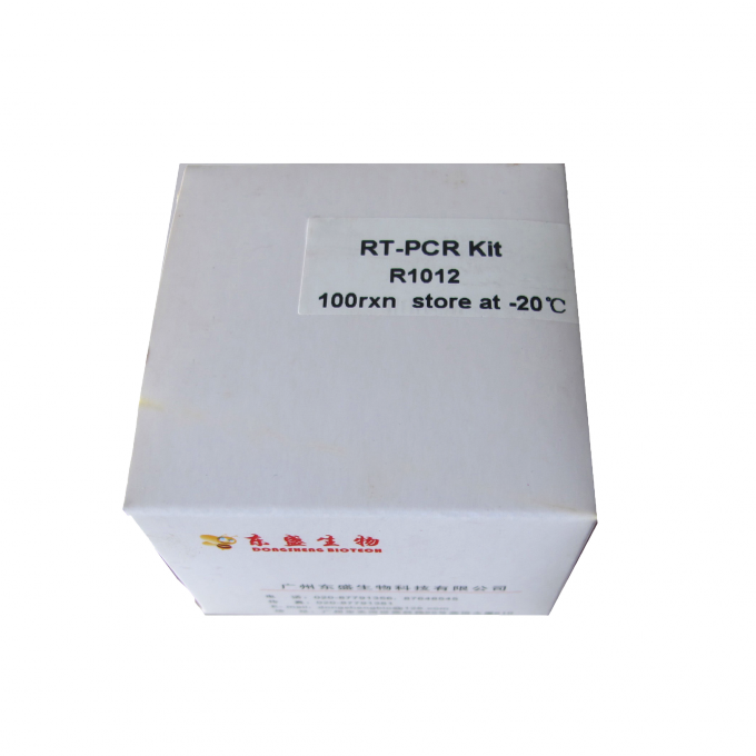 M-마라이프 역전사 효소 르트-PCR