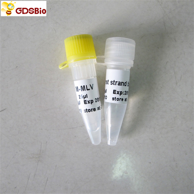 M-마라이프 역전사 효소 PCR 시약 Rt PCR R1041/R1042