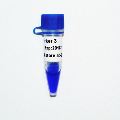 마커 3 DNA 사다리 M1121 (50μg)/M1122 (5×50μg)