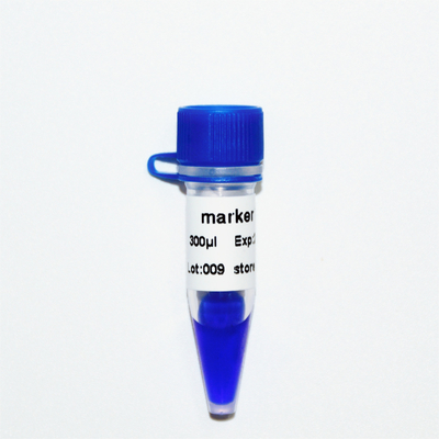 마커 12 DNA 사다리 M1141 (50μg)/M1142 (5×50μg)