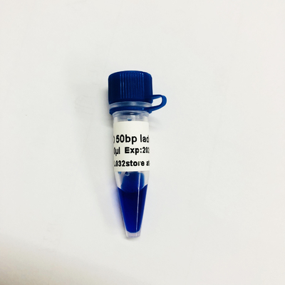 LM1041 그드스비오 약물의 독성 치사량을 나타내는 단위 베이시스 포인트 겔 전기이동 마커 래더