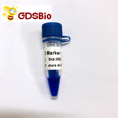 푸른 출현 LD 마커 1 DNA 마커 전기영동