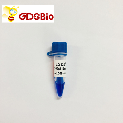 그드스비오 LD DS 5000 DNA 마커 전기영동 푸른 출현