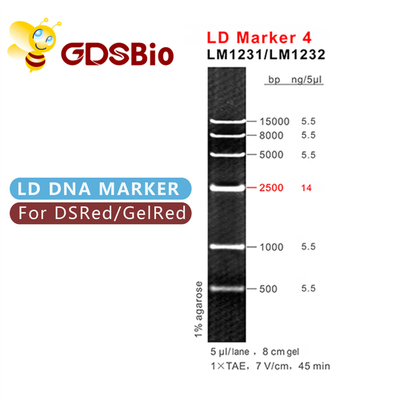 LD 마커 4 DNA 사다리 LM1231 (50이지 준비) /LM1232 (50 preps×5)