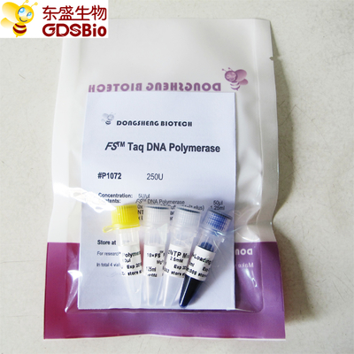 PCR QPCR FS 타크 dna 폴리머라제 P1071 P1072 P1073 P1074