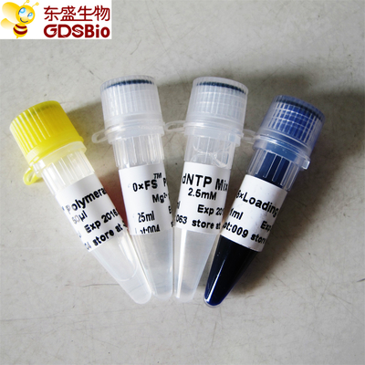 PCR QPCR FS 타크 dna 폴리머라제 P1071 P1072 P1073 P1074