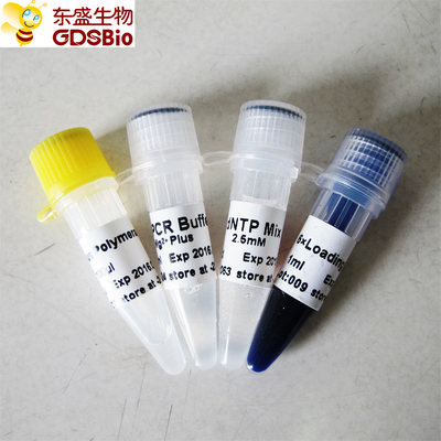 푸른 버퍼 타크는 PCR P1031 P1032 P1033 P1034를 위한 dna 폴리머라제를 더합니다