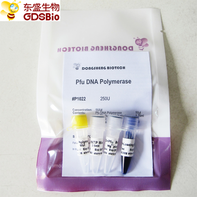 PCR P1021 P1022 P1023 P1024를 위한 ＰＦＵ dna 폴리머라제