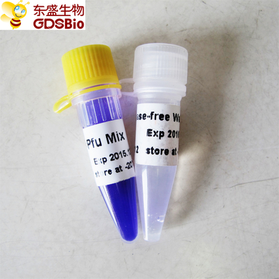 DNA RNA 핵산 PCR 탐지 ＰＦＵ PCR 마스터 믹스 P2021 1 밀리람베르트