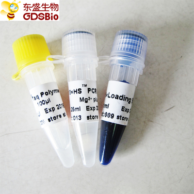 HS 핫스타트 타크 dna 폴리머라제 PCR 시약 높은 전문성 P1081 P1082 P1083 P1084