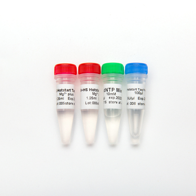 HS Hotstart Taq DNA 중합효소 PCR 주된 혼합 P1091 500U 높은 특이성