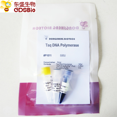 타크 dna 폴리머라제 P1011 500U PCR 마스터 믹스 푸른 버퍼