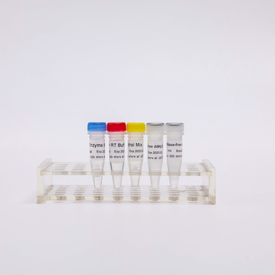 QPCR를 위한 RT PCR 혼합은 역전사 효소 PCR 시약 R1031을 사용 전에 혼합시켰습니다
