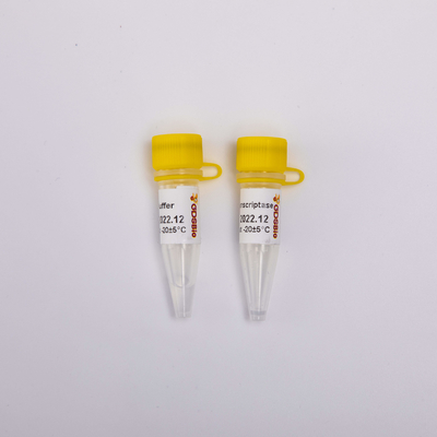 금 Rt PCR 역전사 효소 R3001 2000U R3002 10000U