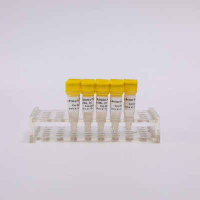 ARTIC SARS-CoV-2 NGS 라이브러리 구성 다양한 PCR 장비
