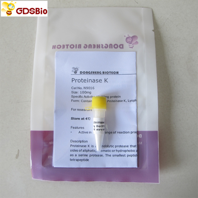 프로테이나제 Ｋ 파우더 N9016 분자 생물학 등급 시험관 내에서 증상을 나타내는 제품