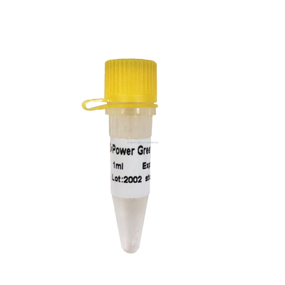 전기 녹색 PCR 반응제 합체 P2101 높은 증폭 효율