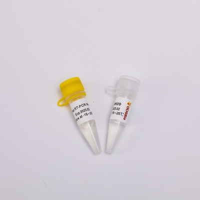 50 르크스킨 2X 역전사 효소 PCR 시약 단일 스텝 마스터 믹스 P1001