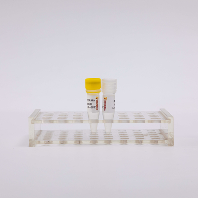 50 르크스킨 2X 역전사 효소 PCR 시약 단일 스텝 마스터 믹스 P1001