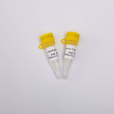 금 역전사 효소 PCR 시약 R3001 2000U