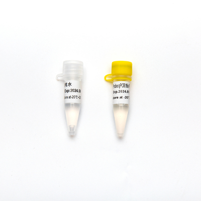 집중된 프리믹스 직접적 다중화 탐침 2× QPCR PCR 반응제 합체는 UDG로 더합니다