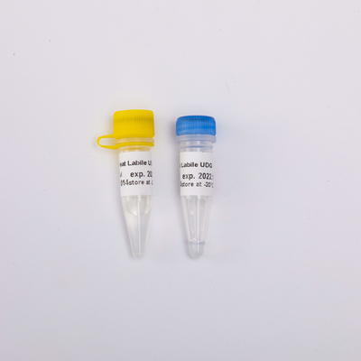 실시간 PCR UDG 대단히 효과적 반대 오염물 효소를 위한 열에 불안정한 마스터 믹스