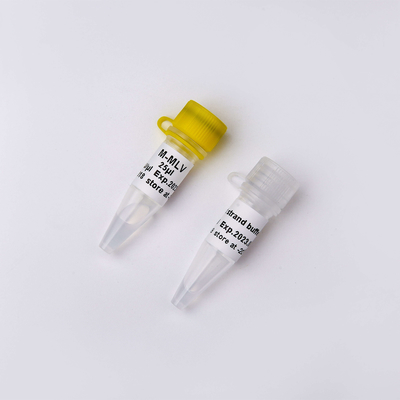 M-MLV 역전사 효소 PCR 시약 R1042