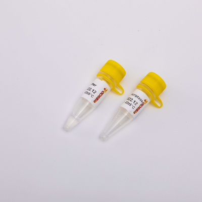 10000U 금 역전사 효소 PCR R3002 무색인 출현