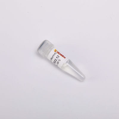 그드스비오 역전사 효소 PCR 시약 20000U rnase 저해제 화학 제품