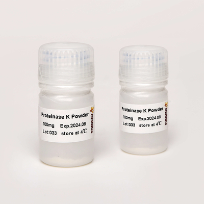 분자 생물학 등급 프로테이나제 Ｋ 파우더 N9016 100 마그네슘