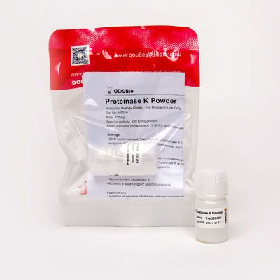 분자 생물학 등급 프로테이나제 Ｋ 파우더 N9016 100 마그네슘