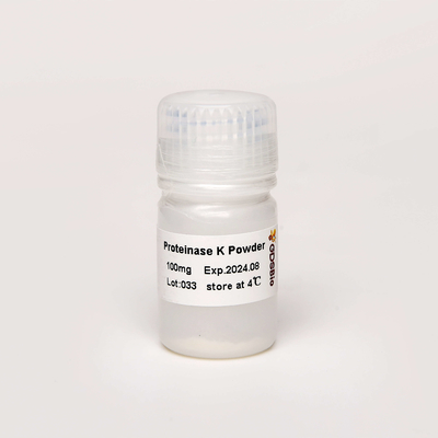 그드스비오 시험관 내에서 증상을 나타내는 제품 분자 생물학 등급 프로테이나제 Ｋ 파우더 PK N9016 100 마그네슘