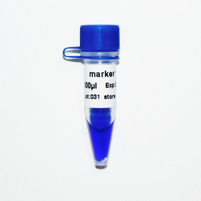 마커 1 DNA 마커 전기영동 400 베이시스 포인트 50ug 푸른 출현