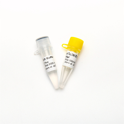 QPCR 핫스타트 타크 dna 폴리머라제 RT-PCR 효소 P1101