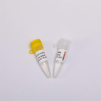 RNA 역전사와 종점 PCR 장비 단일 스텝 RT PCR 혼합 RP1001