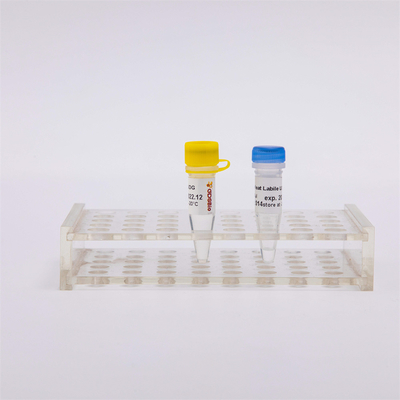 QPCR R5001 1 U/μL을 위한 이열성 반대 오염물 UDG 효소 분자 생물학