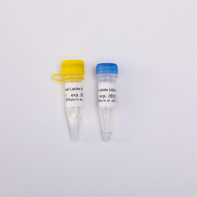 QPCR R5001 1 U/μL을 위한 이열성 반대 오염물 UDG 효소 분자 생물학