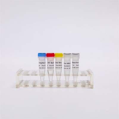 QPCR 미리 혼합한 RNA 역전사 효소 PCR 시약을 위한 R1031 그드스비오 첫번째 스트랜드 cdna 합성 RT-PCR 혼합