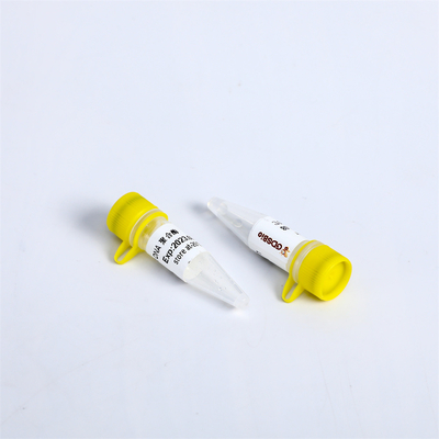 P1113 PCR 마스터 믹스 브스트 dna 폴리머라제 엑소뉴클레아제 마이너스 8000 U/mL