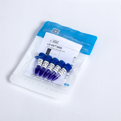 GDSBio 사전 염색 젤 LD DS 5000 DNA 마커 전기영동 파란색 LM1111 LM1112