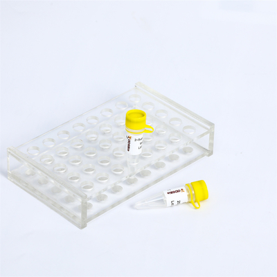 교정하는 DNA taq 중합 효소 최고 하이파이장치 PCR 마스터 믹스 P2111 P2112 P2113 핫스타트