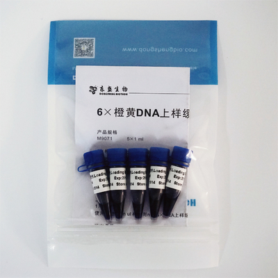 6× 겔 로딩 염료 3 색 DNA 전기 이동 버퍼 EDTA 1mlx5