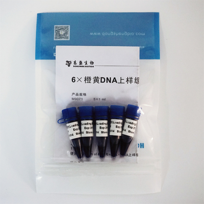 6× 겔 로딩 염료 3 색 DNA 전기 이동 버퍼 EDTA 1mlx5