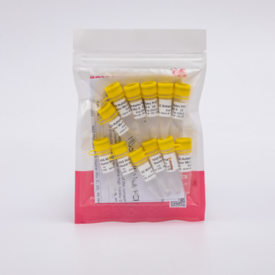 울트라 - 고충실도 NGS 다중화 PCR 마스터 믹스 II, 2X