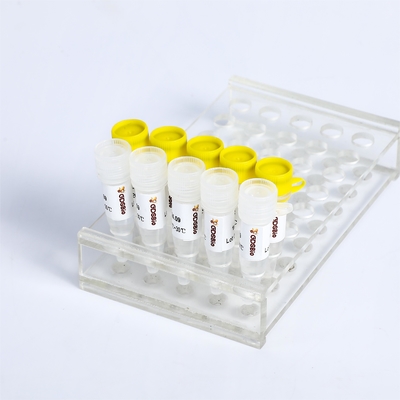 KASP PCR 마스터 믹스 P4021 P4022 SNP 인델스 검출