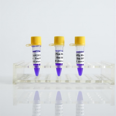 Taq Mix II P2011b PCR 마스터 믹스 높은 감수성 특수성