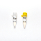 Concentrated Premix Direct Multiplex Probe 2× QPCR PCR Reagent Mix Plus With UDG